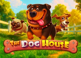chok246 ดีไหม The Dog House ทดลองเล่นฟรี